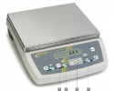 KERN - BENCH SCALE 0,2 G - 65 KG