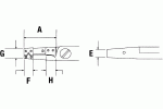 Schema