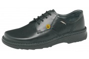 Schoenen Reflexor, ESD