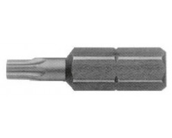 Torx bit