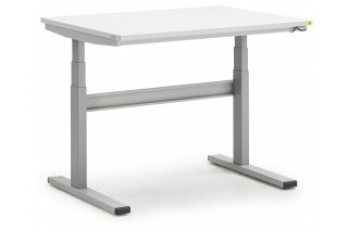  - Table de travail TED M900 ajustable (Motorisée) ESD